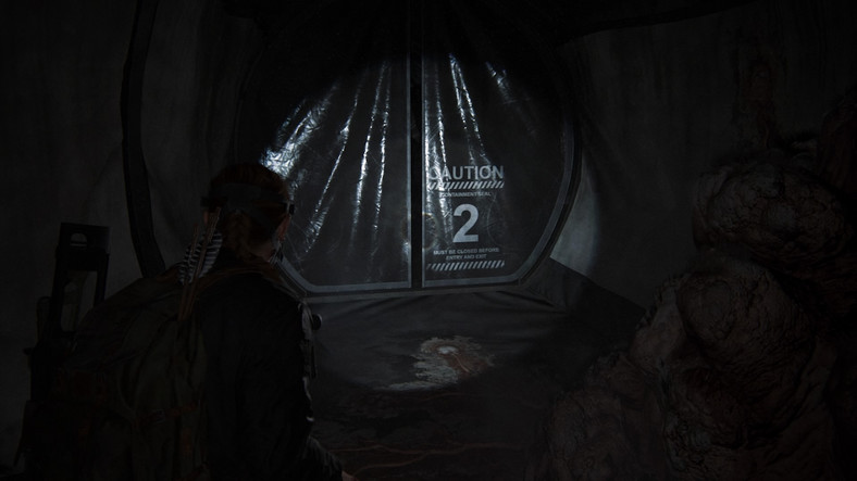 The Last of Us Part II - screenshot z wersji na PlayStation 4