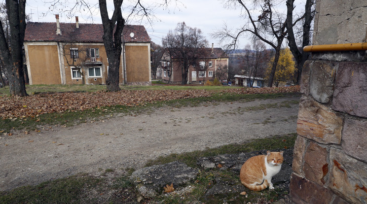 Gányi Dávid két hónapja köl-tözött, de már menekülne a 43 négyzetméteres lakásból / Fotó: Fuszek Gábor