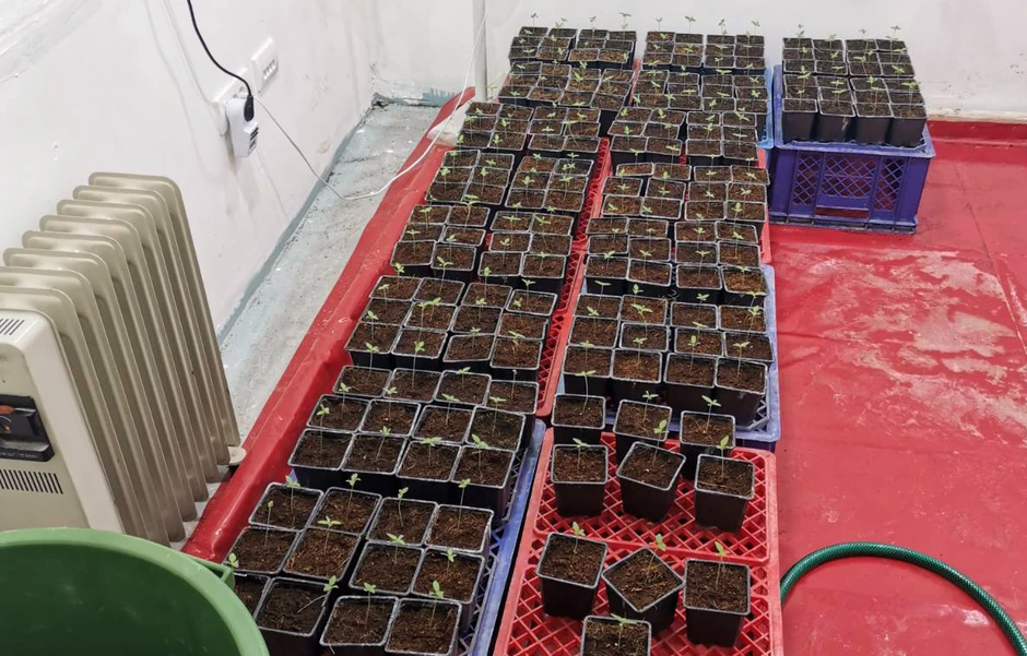 Laboratorija marihuane otkrivena na Dedinju