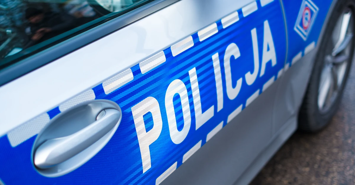 Nielegalni imigranci zatrzymani w Szczecinie. Wpadli podczas kontroli trzeźwości