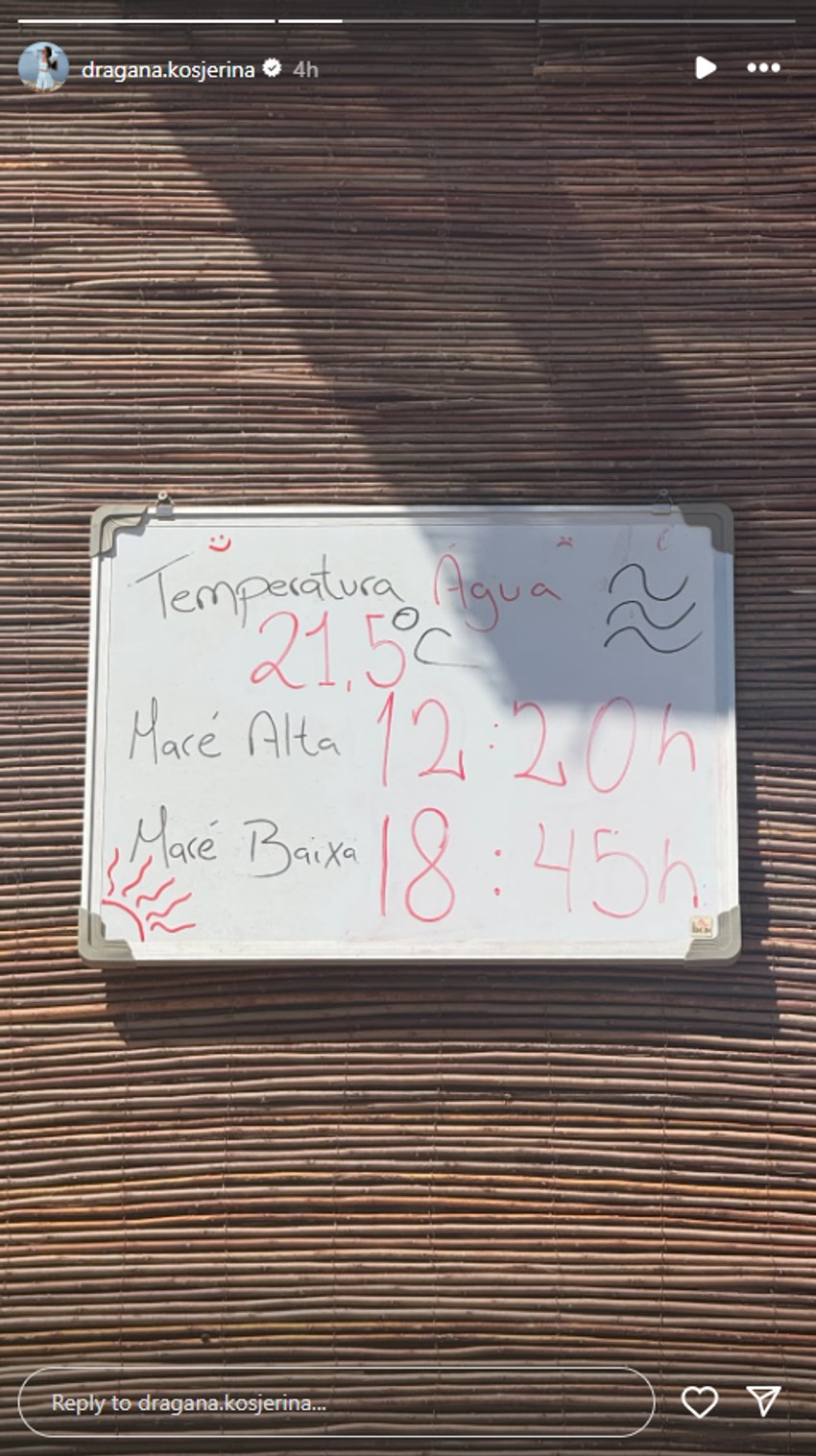 Dragana Kosjerina, objava