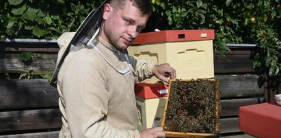 Pszczelarz z Prudnika: od pszczół zależy nasze życie!