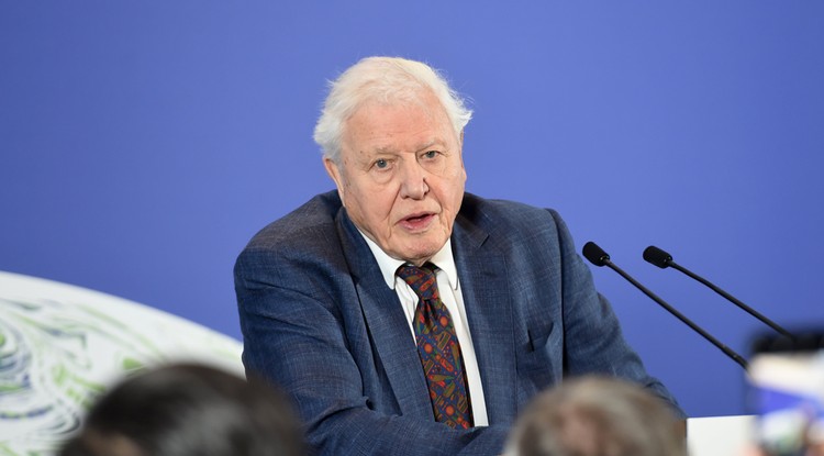 Sir David Attenborough