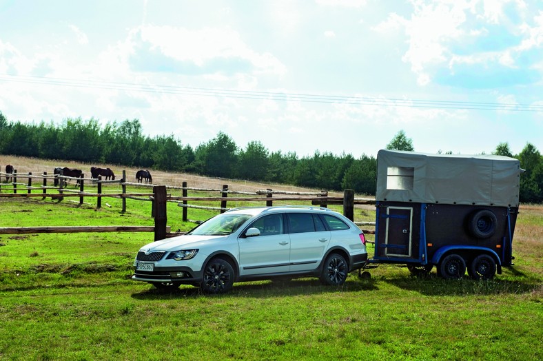 Galop na łące, kłus leśnymi przecinkami