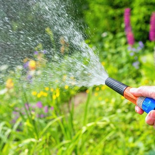 Locsolás közben esett össze egy férfi, a szomszédja hívta a mentőket