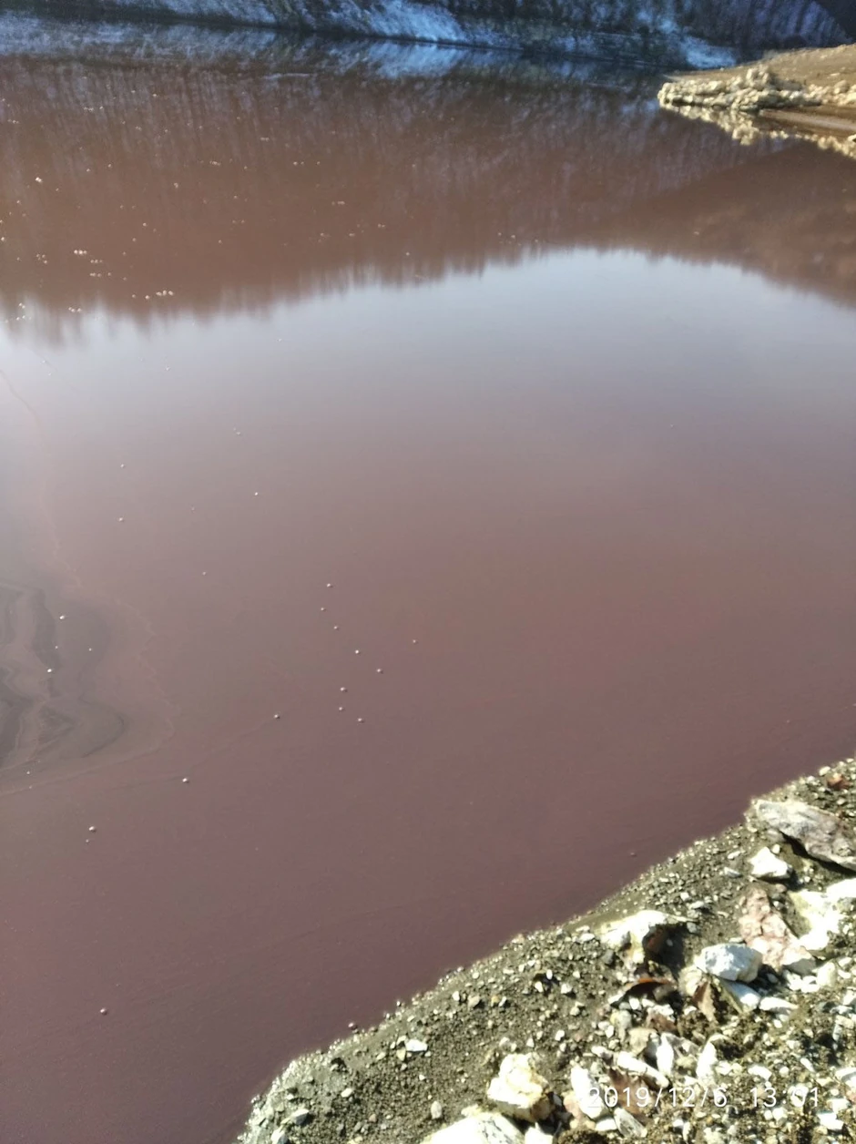 Nizak vodostaj jezera i topla jesen su uslovili cvetanje Vrutaka