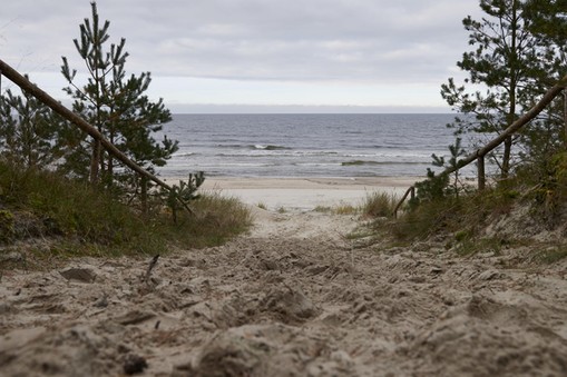 Widok na plażę