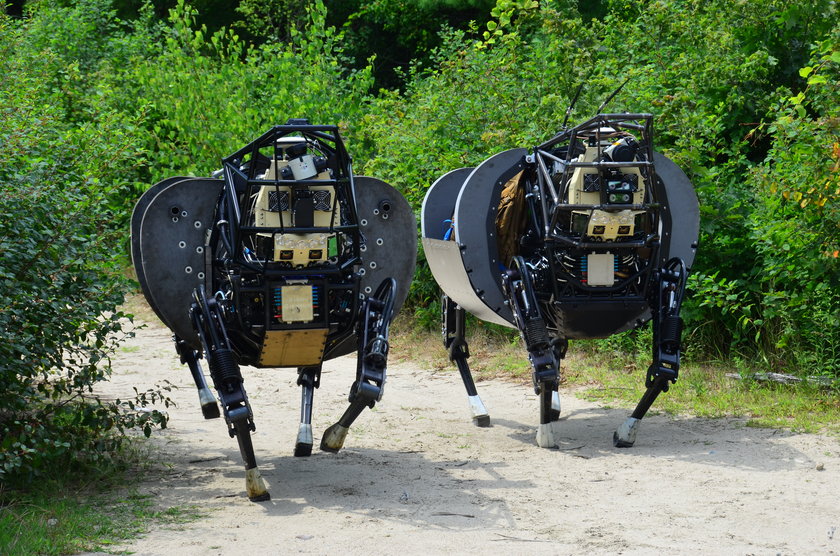 LS3 robot - osioł nowy wynalazek amerykańskiej armii