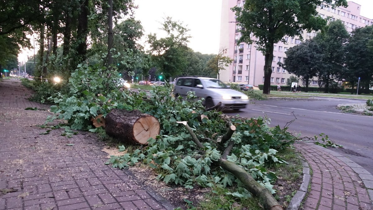 Skutki burzy, która przeszła nad Płockiem