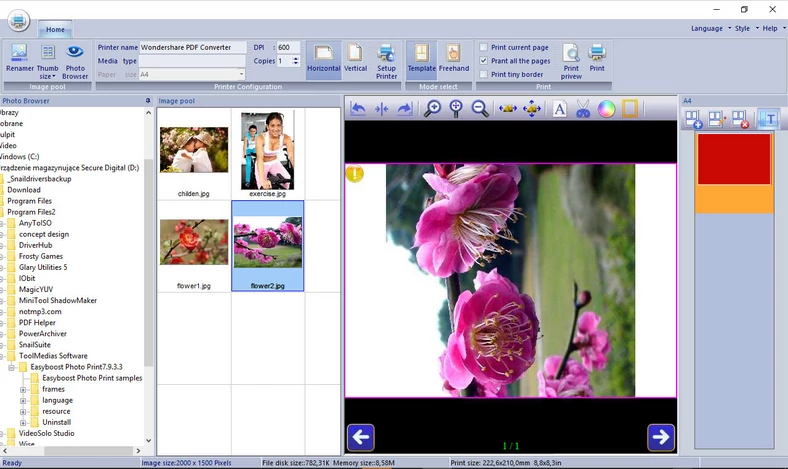 Główne okno programu do drukowania fotografii cyfrowych - Easyboost Photo Print Pro