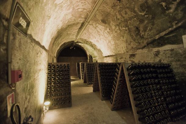Champagne cellar Mumm / Reims
