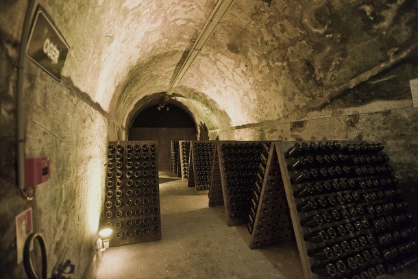 Champagne cellar Mumm / Reims