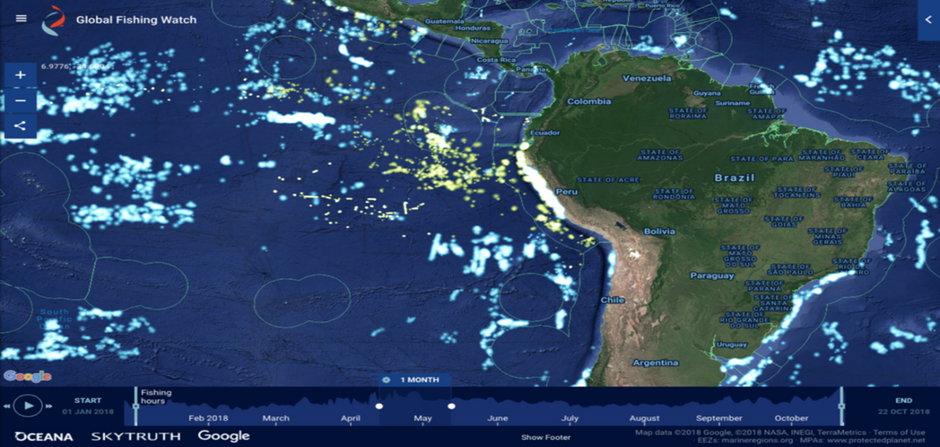 Rys 1 Mapa pokazująca dane systemu monitorowania statków w rejonie Peru