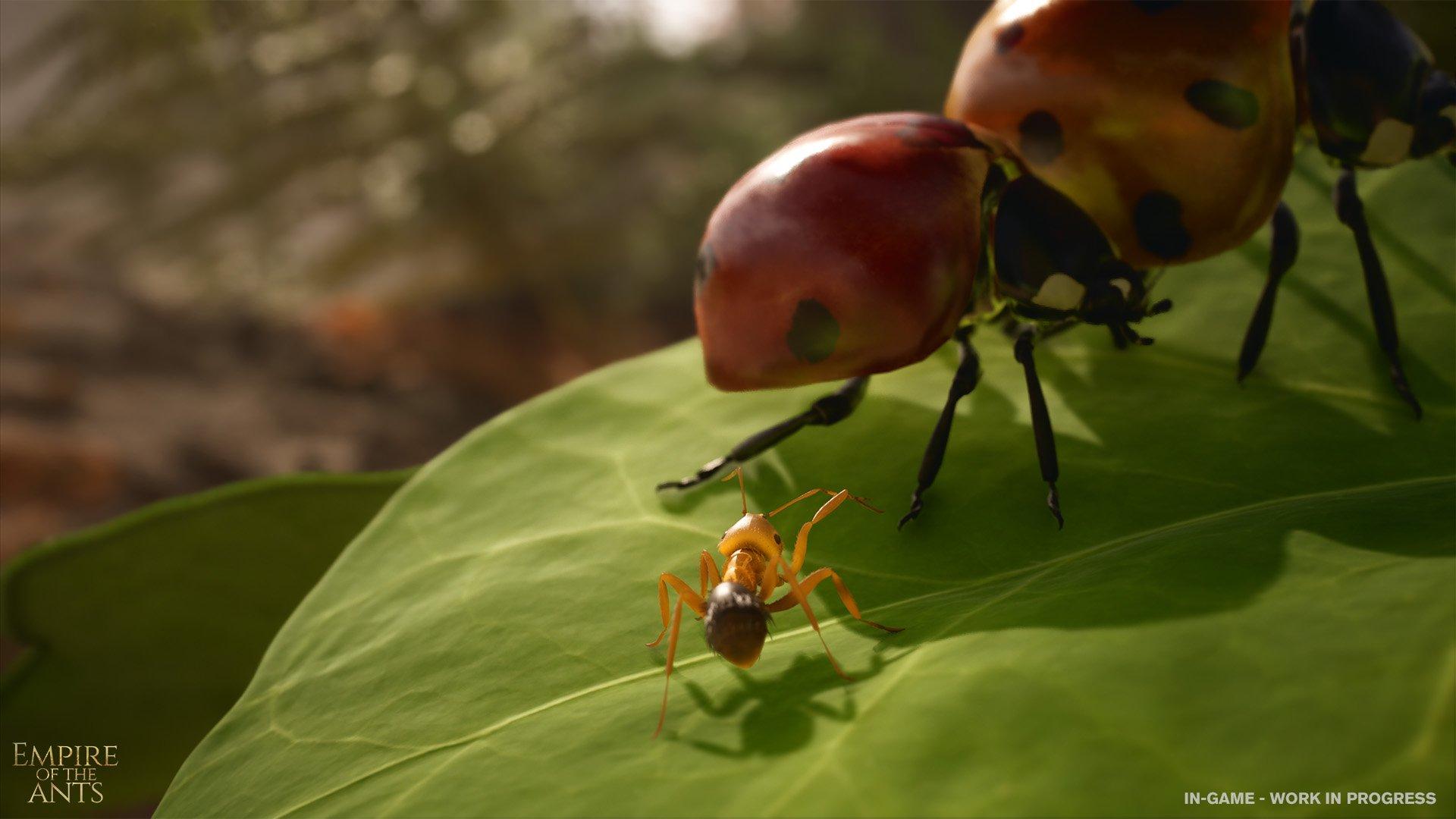 Oficiálny obrázok z hry Empire of the Ants.