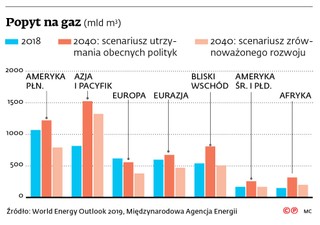 To jeszcze nie koniec ery gazu ziemnego