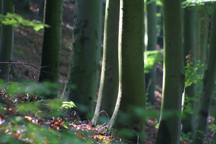 Najpiękniejsze krajobrazy Polski