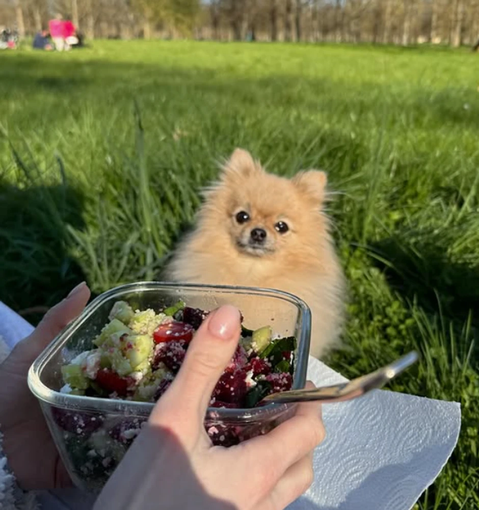 Ema Cepter jede u travi i kupuje na ulici