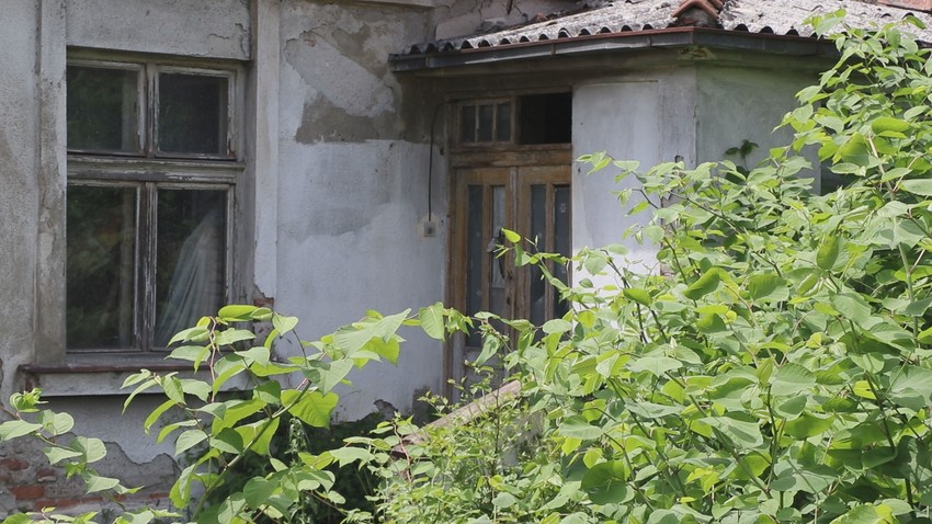 Naselje puno zmija u Čačku