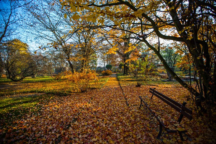 Ogród Botaniczny będzie czynny całą zimę