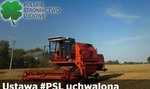 W PSL wycięli niezły numer Piechocińskiemu!