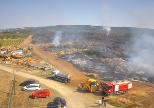 Na licu mesta požar kod Kladova gase vatrogasne jedinice, helikopteri i dobrovoljna vatrogasna društva
