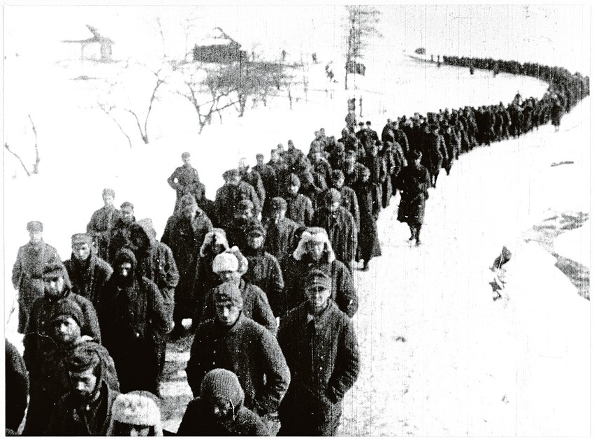 Dva miliona vojnika je učestvovalo u Staljingradskoj bici, a na kraju je izbrojan gotovo isti broj ubijenih, ranjenih ili zarobljenih vojnika i civila