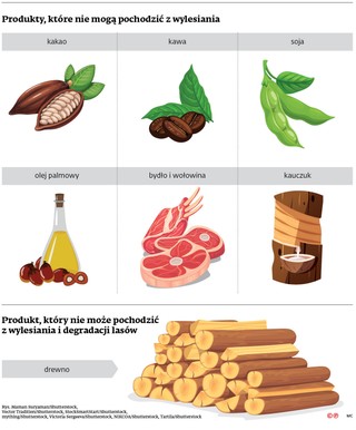 Produkty, które nie mogą pochodzić z wylesienia