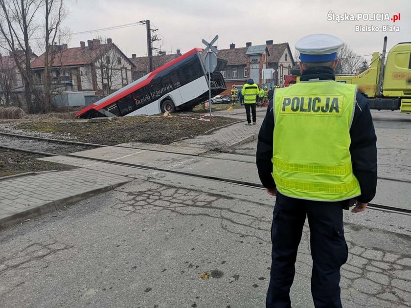 Autobus zjechał ze skarpy. Jedna osoba w szpitalu.