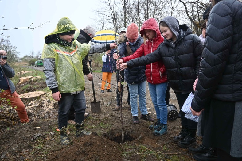 Wybory Pięknej z Rept