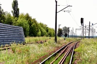 Dwa populizmy w Polsce. Liberałowie i wyborcy PiS gardzą sobą nawzajem