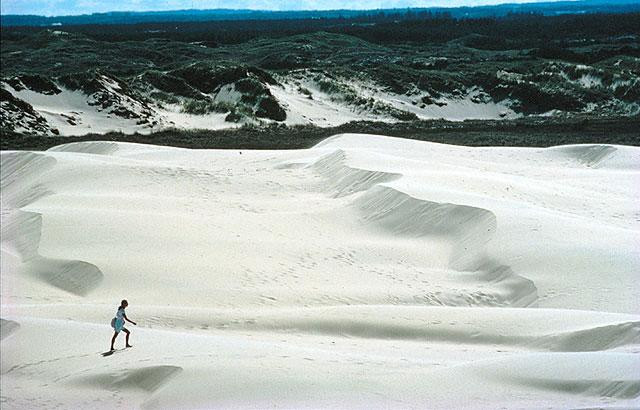 Galeria Dania - Skagen, obrazek 7