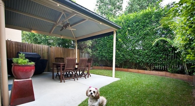 Cute dog helps sell houses in Australia