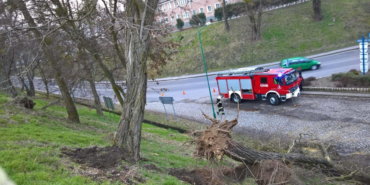 IMGW ostrzega przed wichurami. Mogą powodować zniszczenia