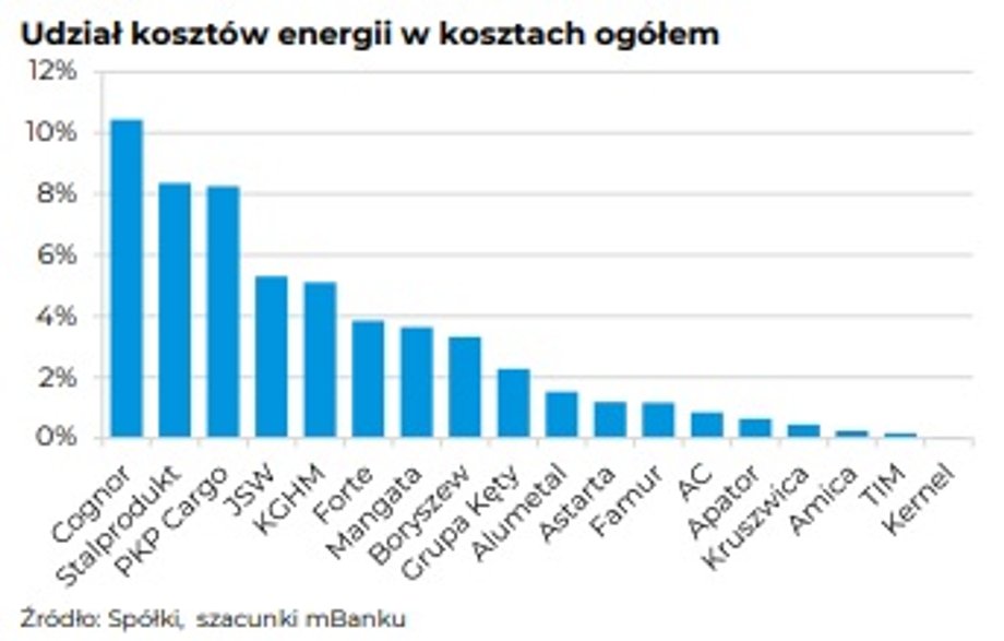 Spółki o najwyższym udziale kosztów energii w kosztach całkowitych.