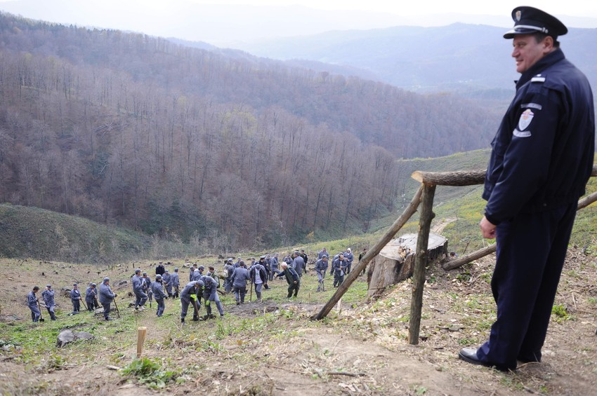 Akcija pošumljavanja planine Cer