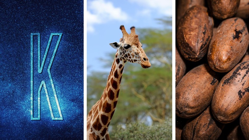 Bardzo trudny quiz z wiedzy ogólnej. Tylko prymus zgarnie 12/12