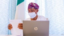 Aregbesola vows to sanitise passport, visa issuance processes