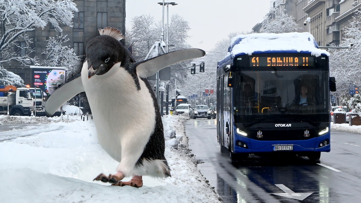 Ovih 5 saveta može vas spasiti da se ne "polomite"