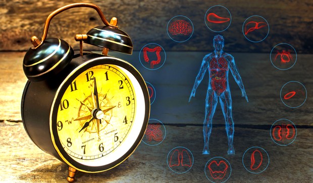 Svaki organ ima svoje optimalno vreme rada prema kineskoj tradicionalnoj medicini