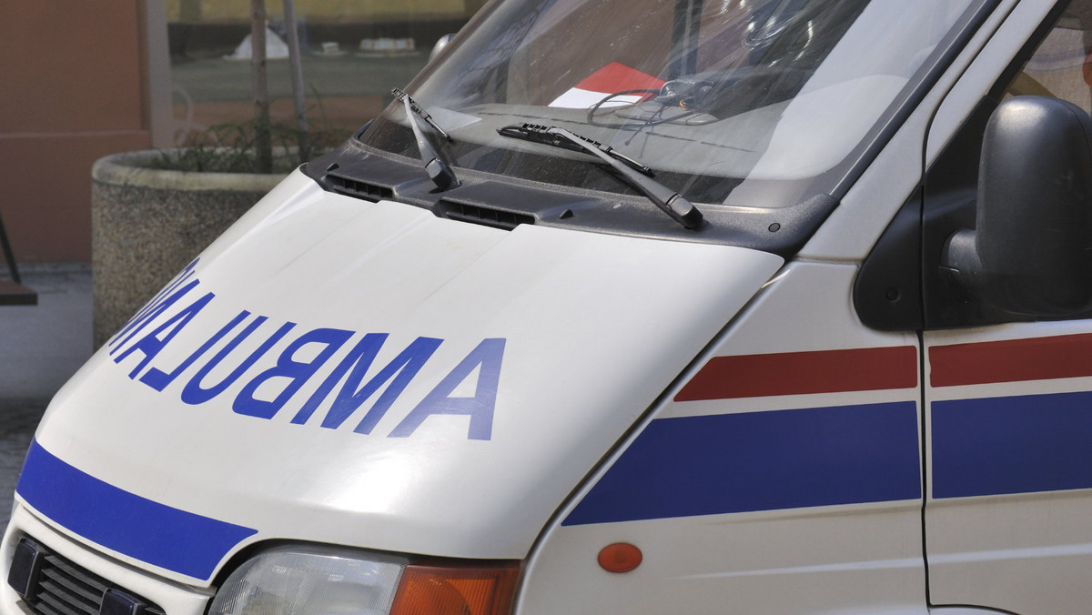<strong>Służby ratownicze odblokowały część drogi krajowej nr 11 w Łomnicy, gdzie doszło do zderzenia ciężarówki z samochodem osobowym. Jak informuje Generalna Dyrekcja Dróg Krajowych i Autostrad, na miejscu wypadku wprowadzono ruch wahadłowy.</strong>