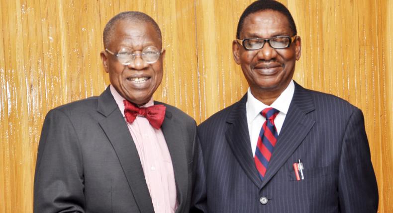 Lai Mohammed, Itse Sagay