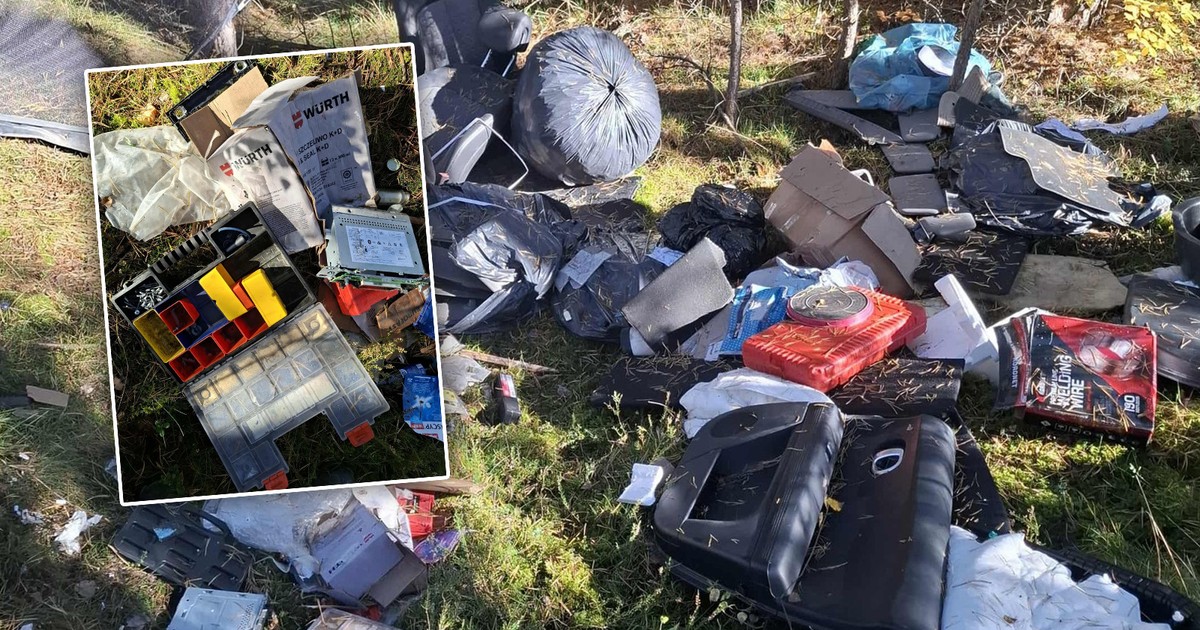 Na ten widok leśnicy tylko załamali ręce. "Niestety, nie potrafimy ogarnąć"