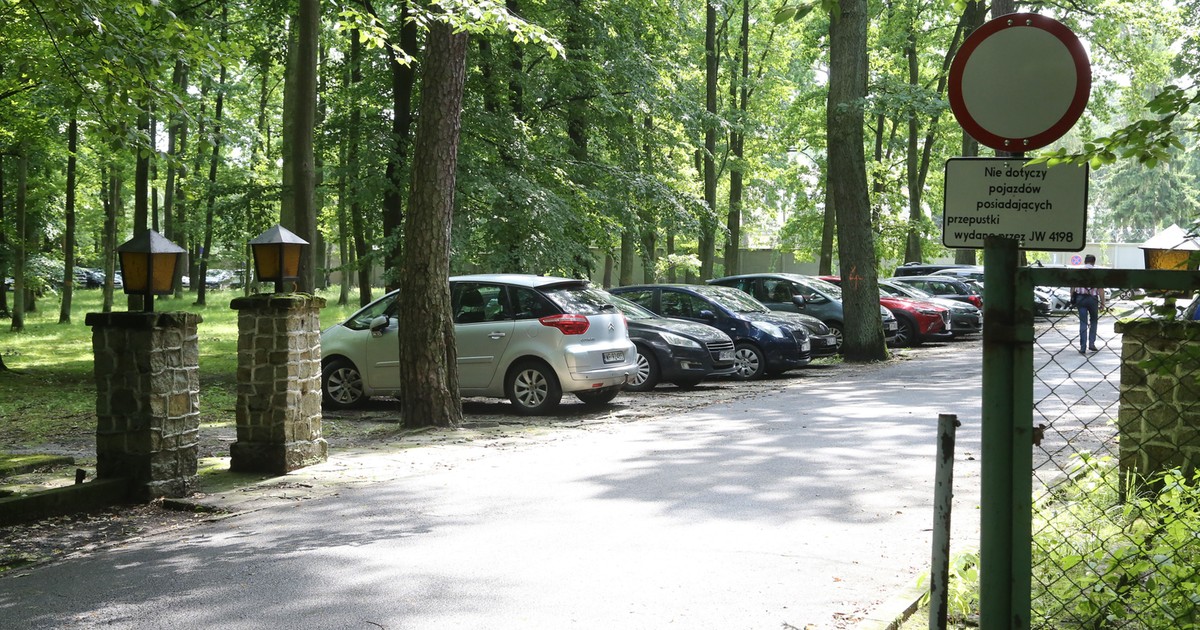 Warszawa. Wojsko planuje wielką wycinkę drzew w Lesie Kabackim - Vimarsana News