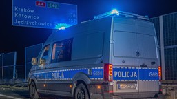 areszt-podejrzany-zabojstwo-10-lat-mosina