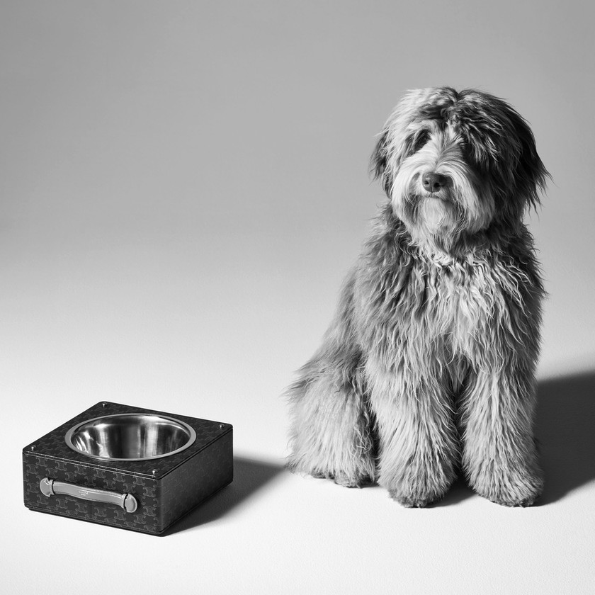 Celine: Hundenapf aus Lammnappaleder mit Triomphe-Canvas-Print für 1400 Franken.