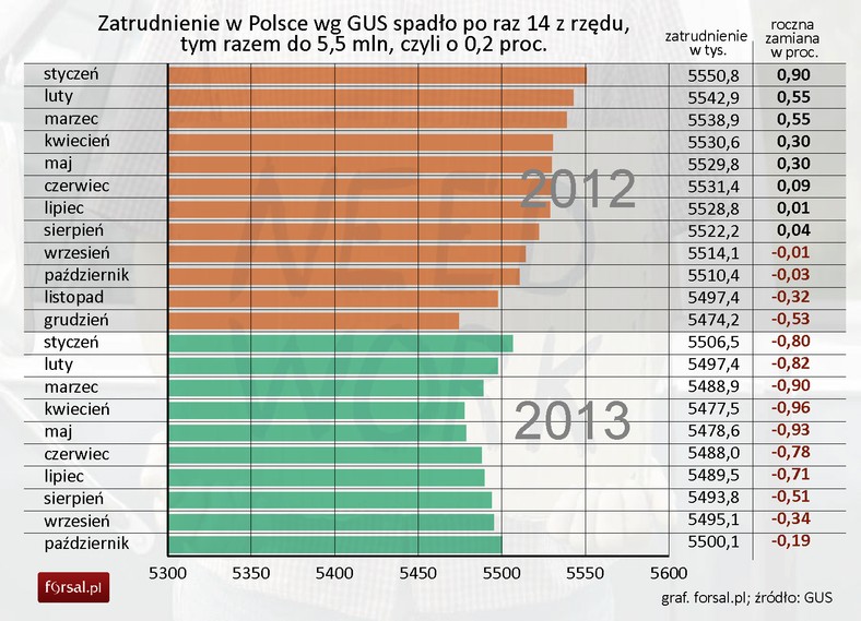 Zatrudnienie w Polsce spadło w październiku 2013 r. o 0,2 proc.