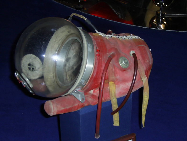 Eksperymentalny skafander kosmiczny zbudowany dla Łajki.