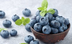 Działają jak antybiotyk, regulują trawienie: BORÓWKI. Poznaj ich moc