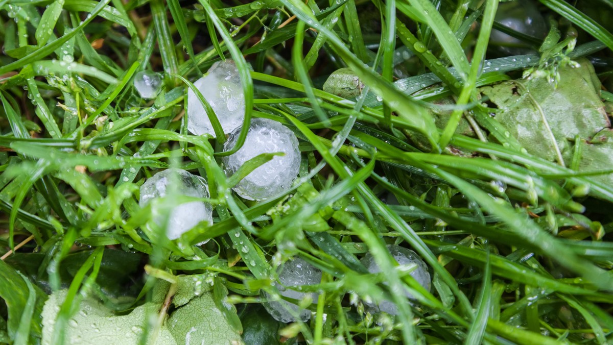 Instytut Meteorologii i Gospodarki Wodnej wydał komunikat ostrzegający przed burzami w czterech województwach. Zjawiskom meteorologicznym mogą towarzyszyć porywy silnego wiatru i lokalnie opady gradu.