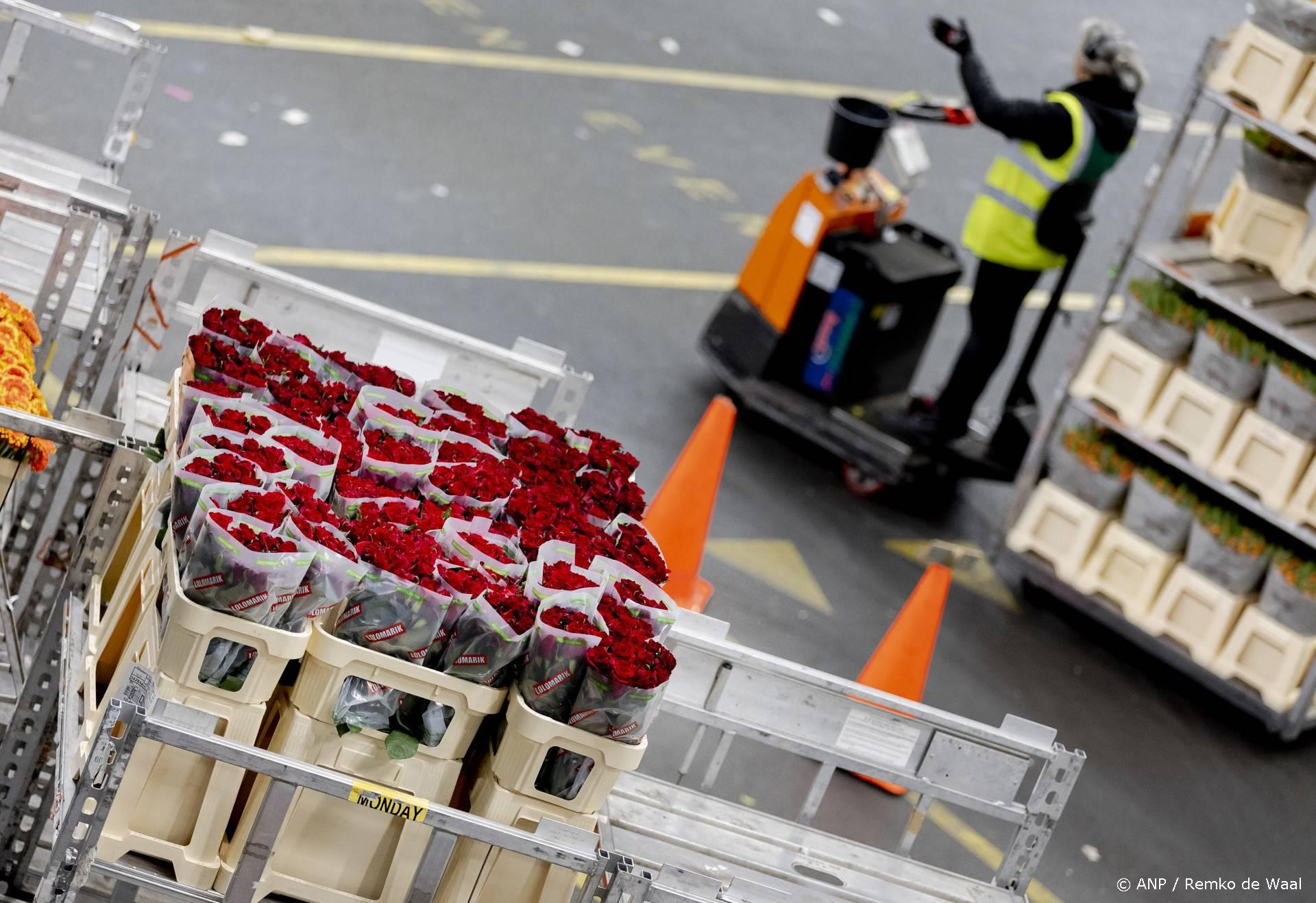 Royal FloraHolland sluit vestiging in Eelde: 70 mensen verliezen hun baan